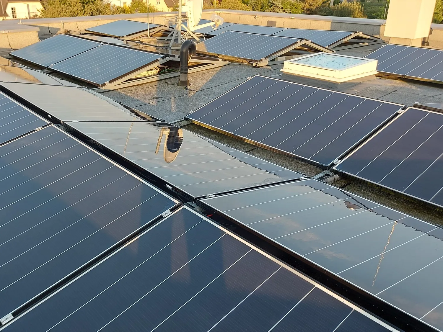 von Schmutz und Aufwuchs gereinigte PV-Anlage