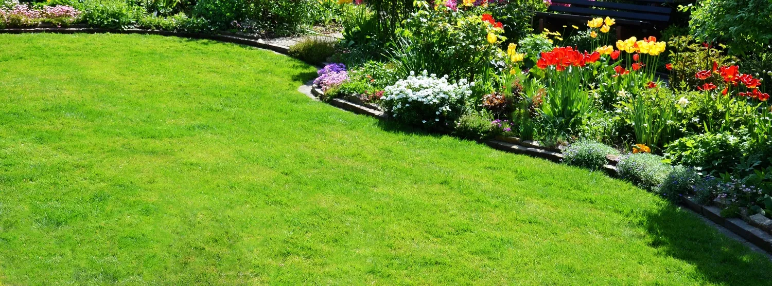 Gartenpflege und Beetmanagement